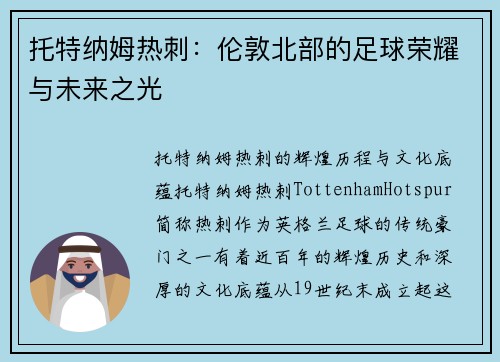 托特纳姆热刺：伦敦北部的足球荣耀与未来之光