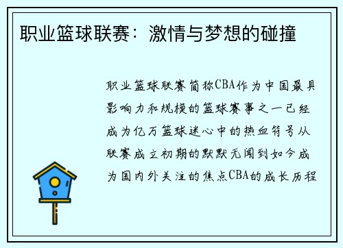 职业篮球联赛：激情与梦想的碰撞