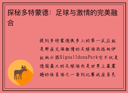 探秘多特蒙德：足球与激情的完美融合